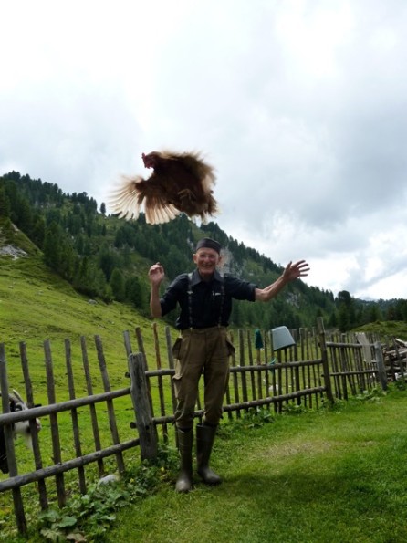 Bodo Hell_Huhn, Geiß N._Mayr