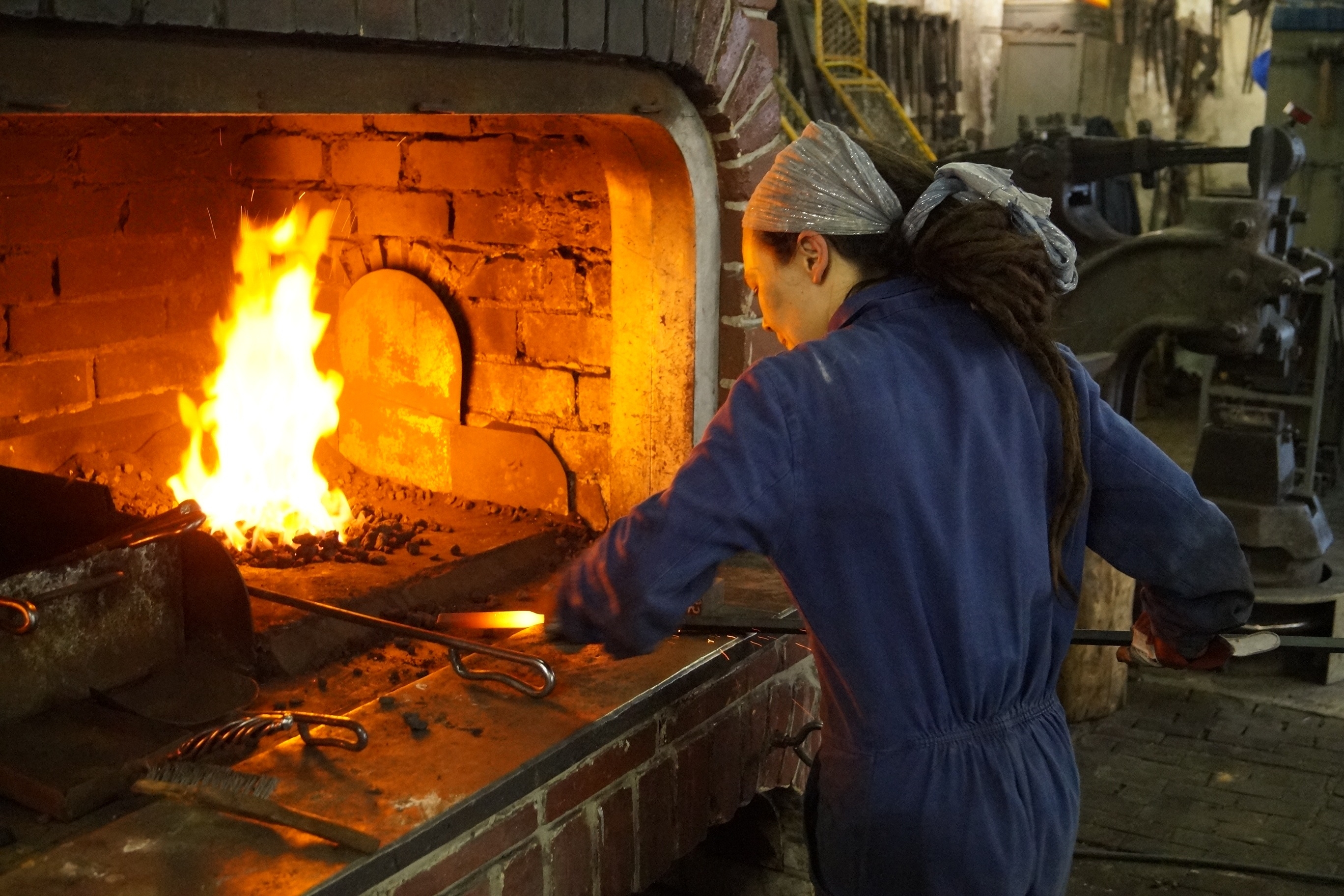 flos ferri_Claudia Czimek_(c) Alois Hammer