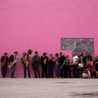 express_brass_band_rosa_wand